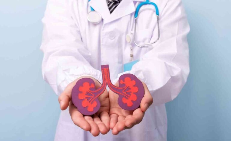 Navigating Kidney Health in 2024: Understanding and Addressing Kidney Problems in India