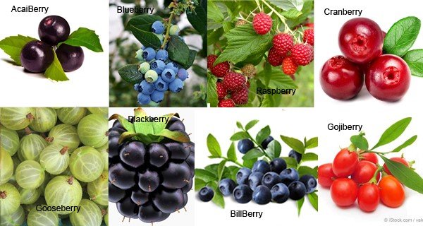 Benefits of Berries in Cancer and Other Disease