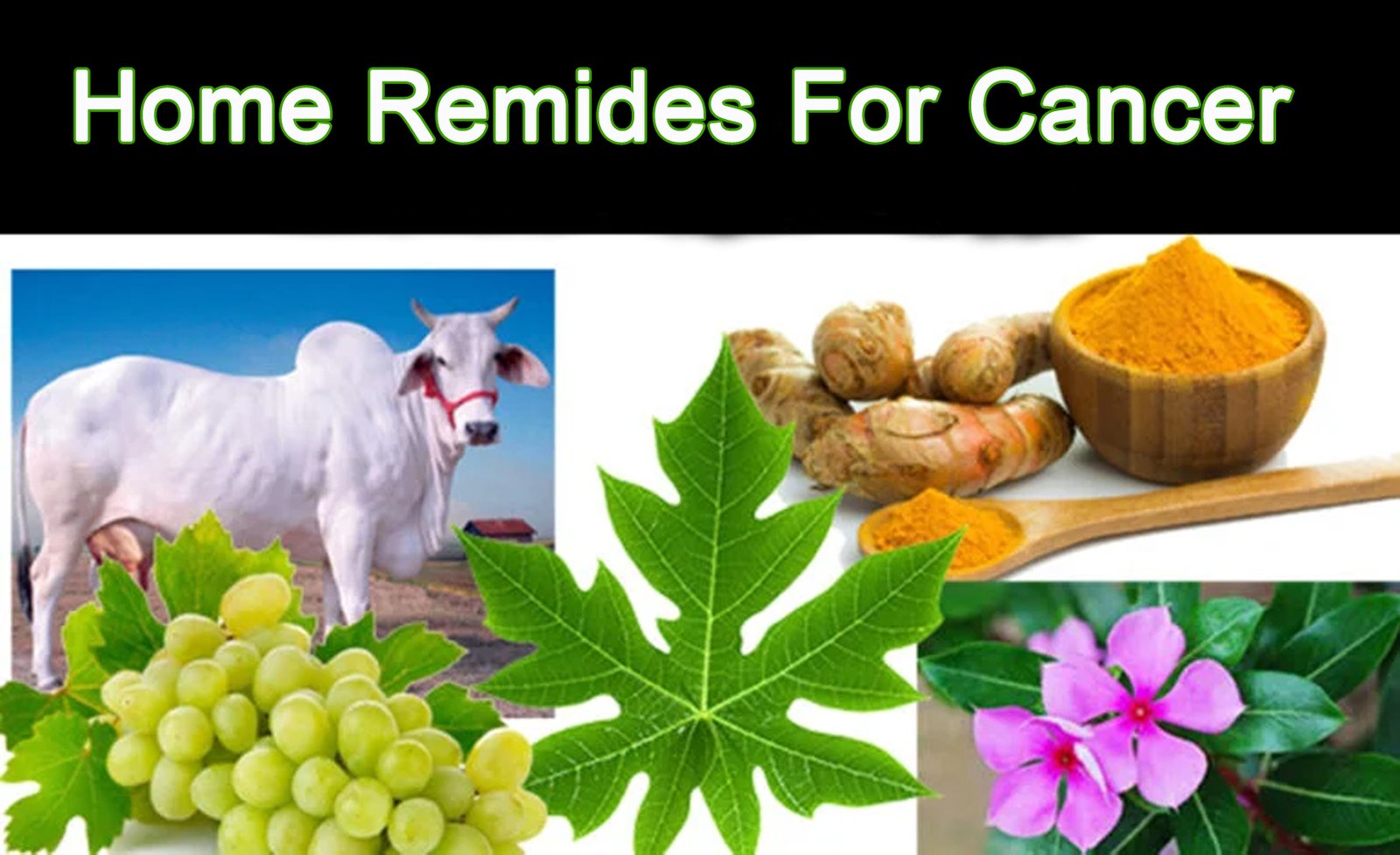 Major Cancer Killer – Super food for Cancer