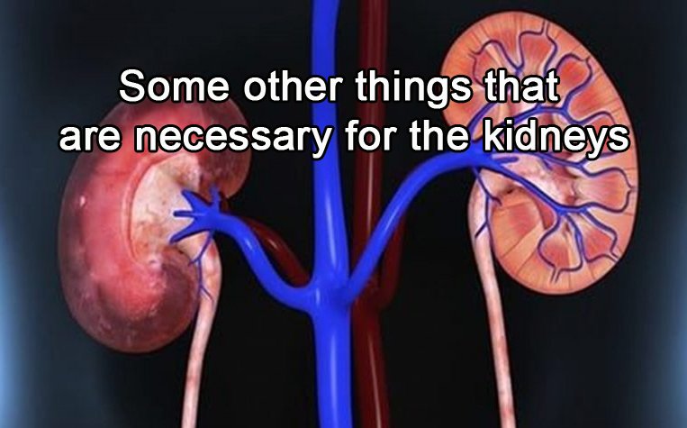 Some other things that are necessary for the kidneys