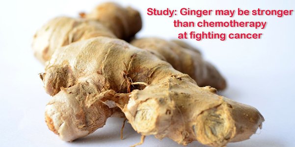 Role of Ginger in Cancer – ଅଦା ଦ୍ୱାରା କ୍ୟାନସର ଚିକିତ୍ସା