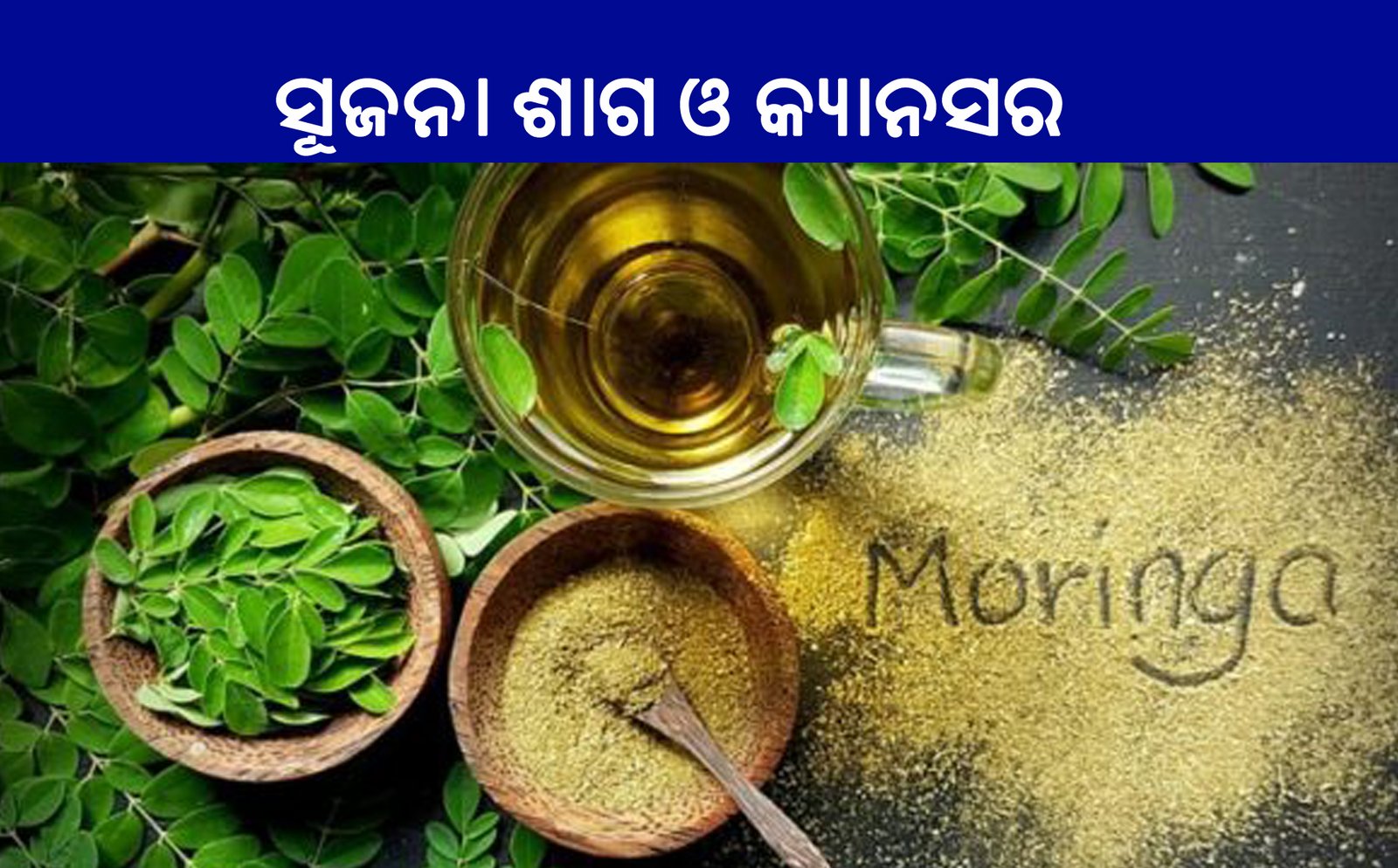 Moringa Oleifera and Cancer – ସୂଜନା ଶାଗ ଦ୍ୱାରା କ୍ୟାନସର ଚିକିତ୍ସା