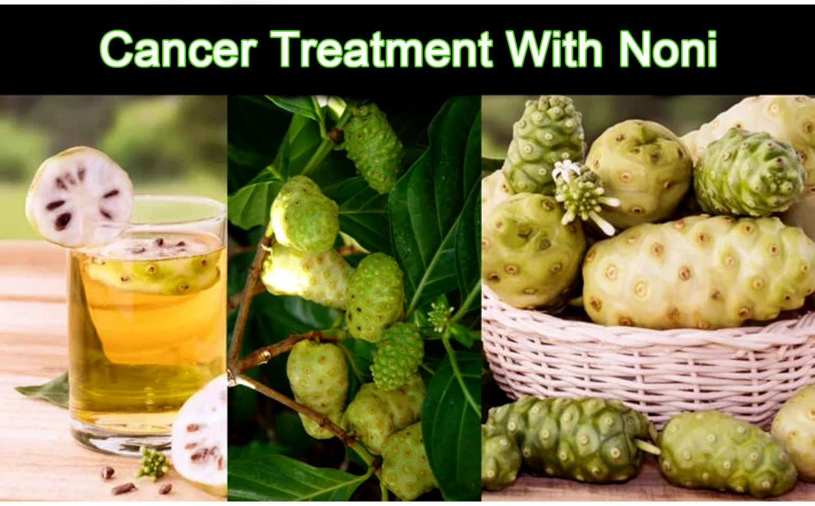 Cancer treatment with NONI – Noni in Cancer
