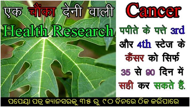 Papaya Leaf Can Kill Cancer in 90 days