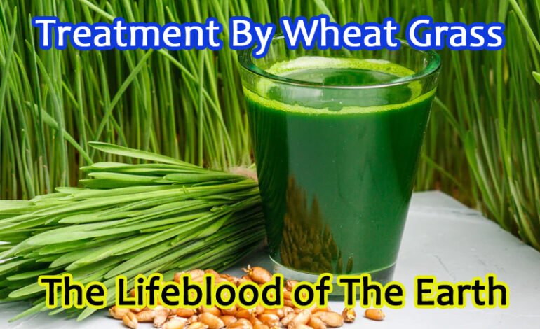 Wheat Grass Juice – The Lifeblood of the Earth