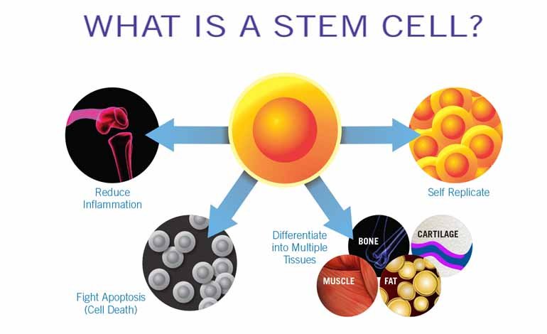 Cellular Therapy by Regen STEM VI